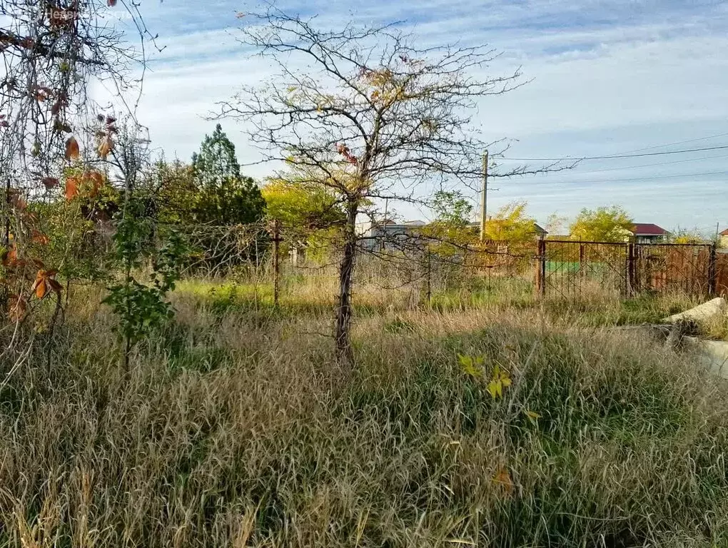 Участок в Феодосия, СПК Геотехник, Грушевая улица (4.5 м) - Фото 2