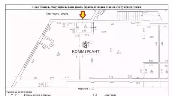 Торговая площадь в Нижегородская область, Нижний Новгород ул. ... - Фото 1