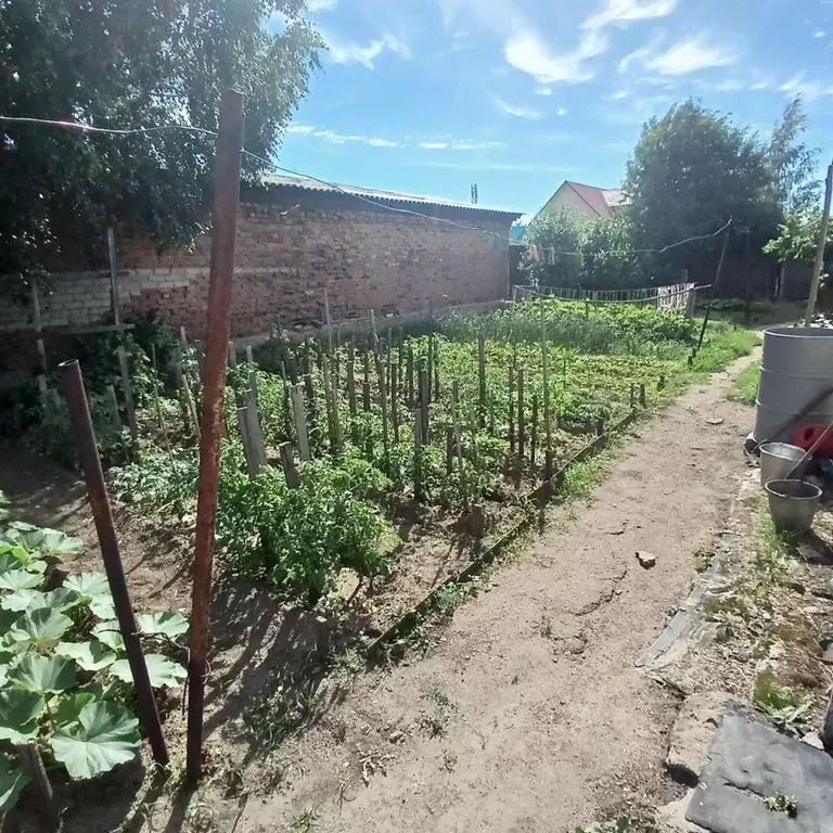 Дом в Алтайский край, Рубцовск Беломорская ул. (50 м) - Фото 2