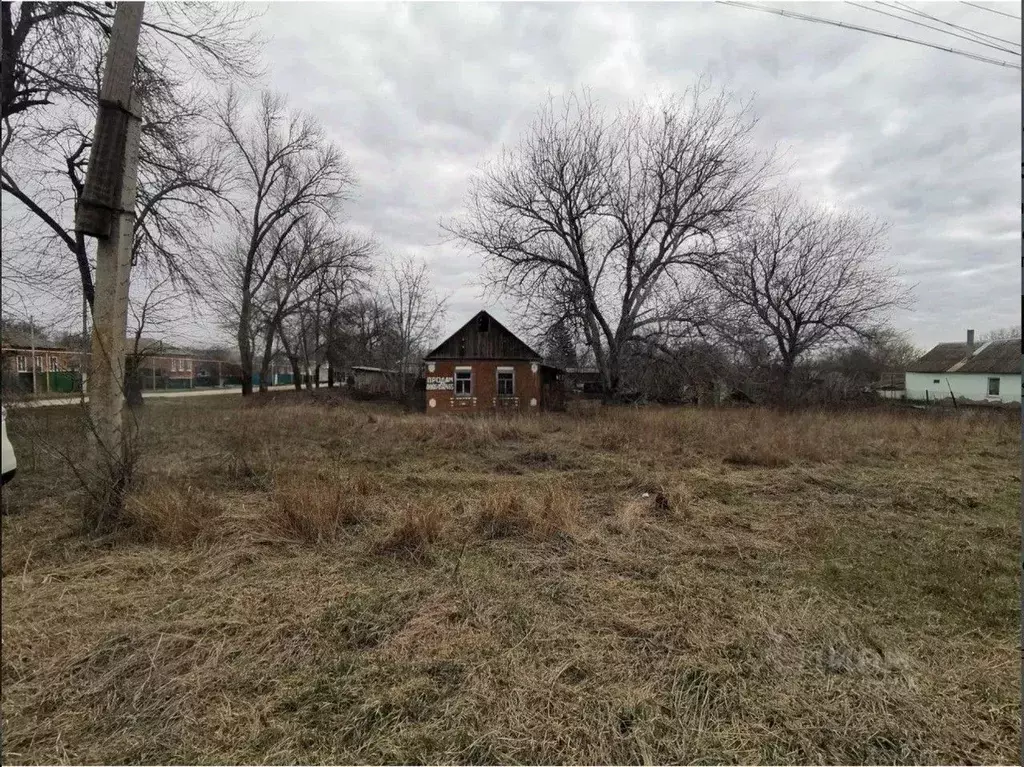 Участок в Ростовская область, Неклиновский район, с. Федоровка ул. ... - Фото 1