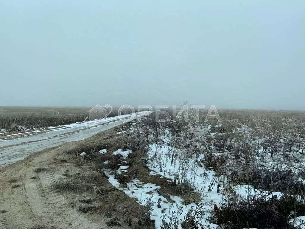 Участок в Тюменская область, Тюменский муниципальный округ, ... - Фото 2