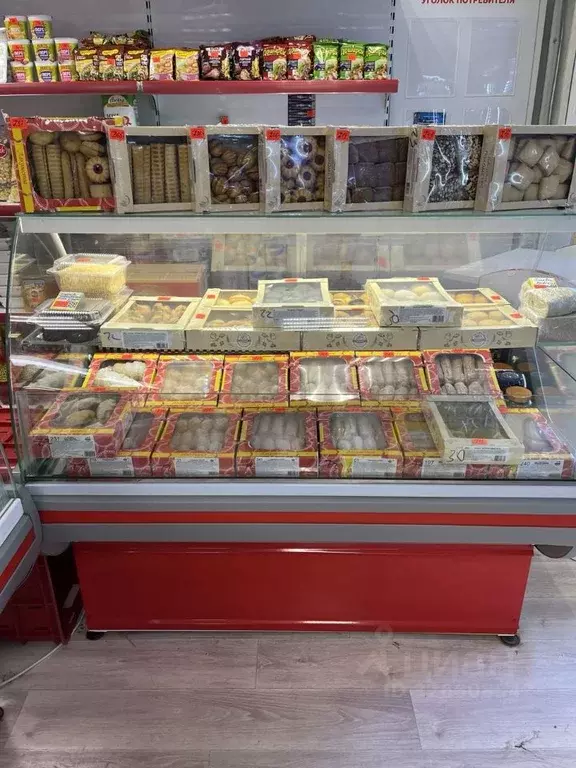 Торговая площадь в Новосибирская область, Новосибирск ул. Челюскинцев, ... - Фото 2