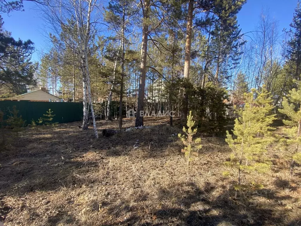 Участок в Забайкальский край, Читинский район, Титан ДНП 25 (12.61 ... - Фото 2
