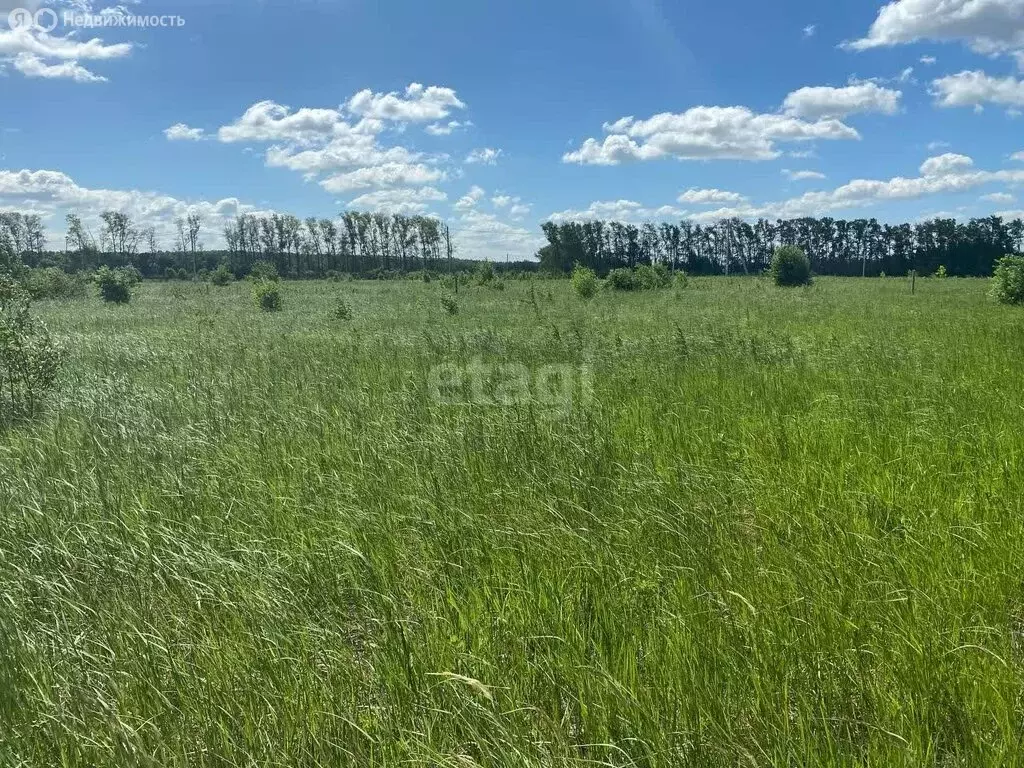 Участок в Московская область, городской округ Коломна, деревня Шапкино ... - Фото 1