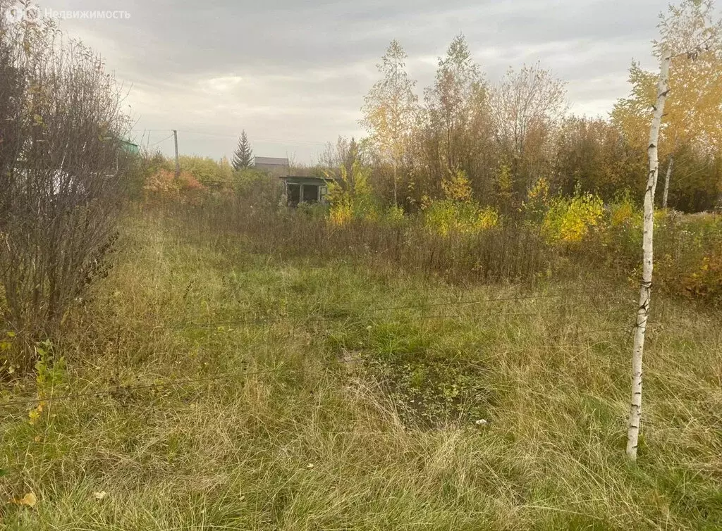 Участок в Кирилловский сельсовет, СНТ Надежда (12 м) - Фото 1
