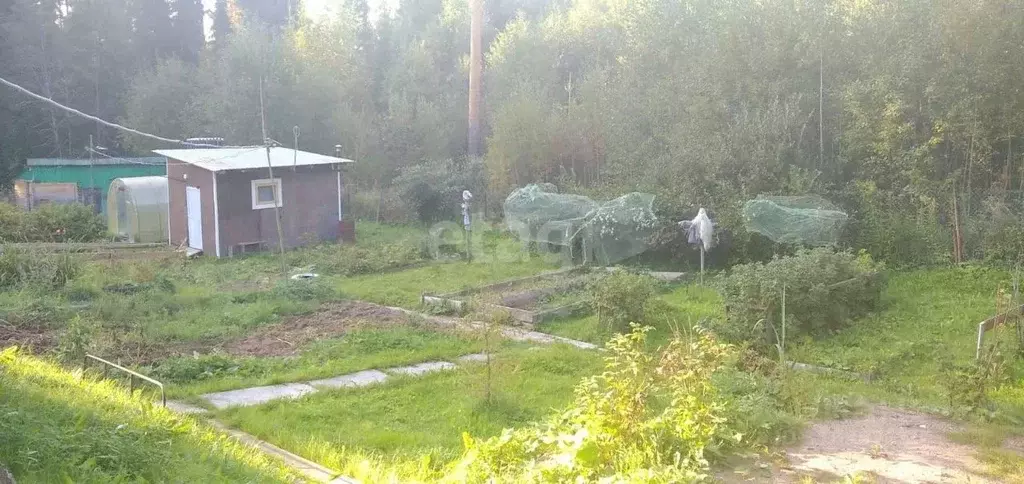 Дом в Коми, Сыктывдинский район, Выльгорт муниципальное образование, ... - Фото 1