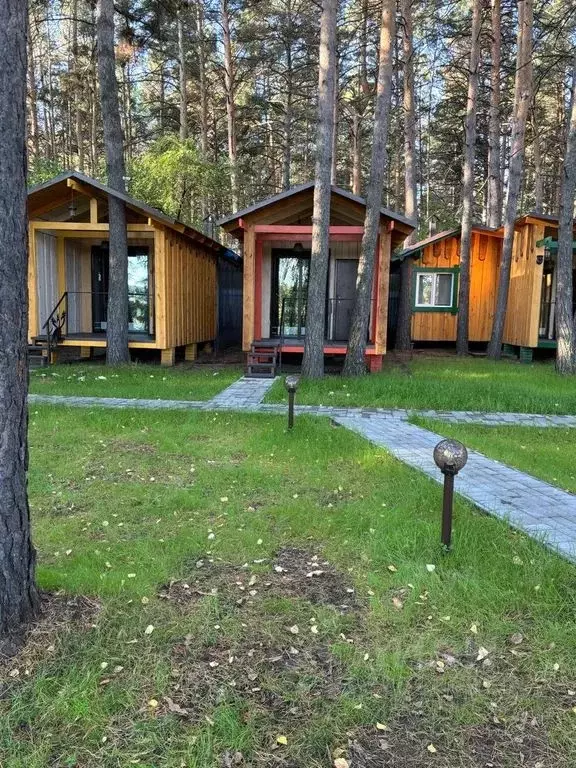 Дом в Новосибирская область, Ордынское рп ул. Кирова, 2/3 (40 м) - Фото 2