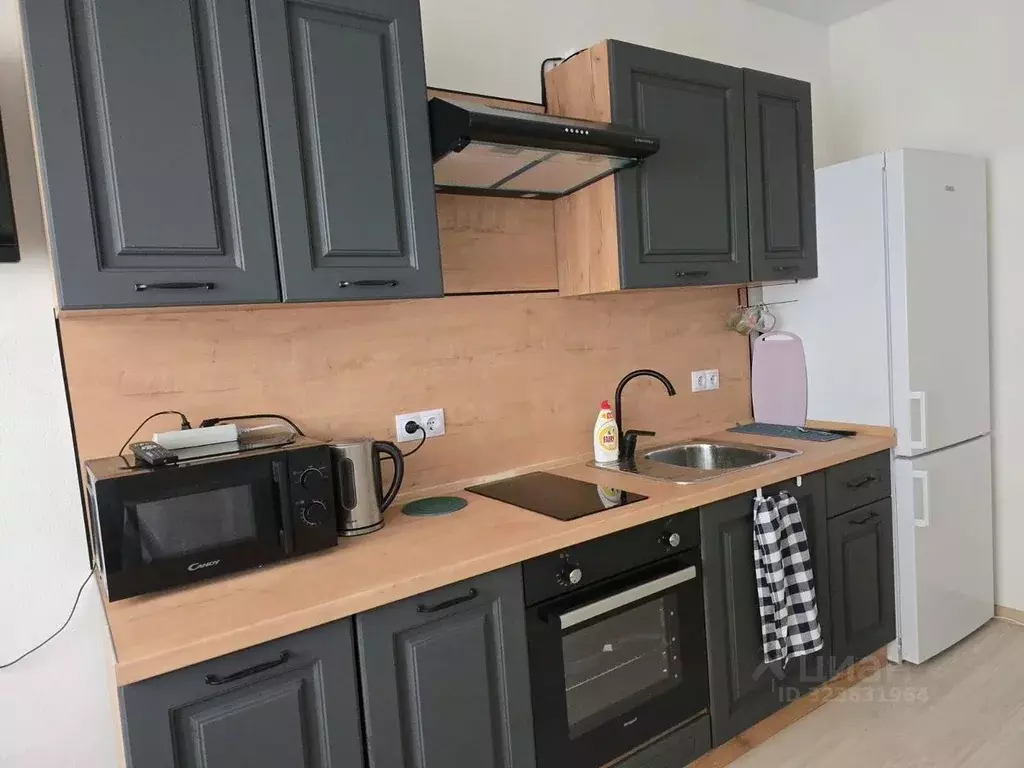 1-к кв. Московская область, Солнечногорск городской округ, Голубое пгт ... - Фото 1