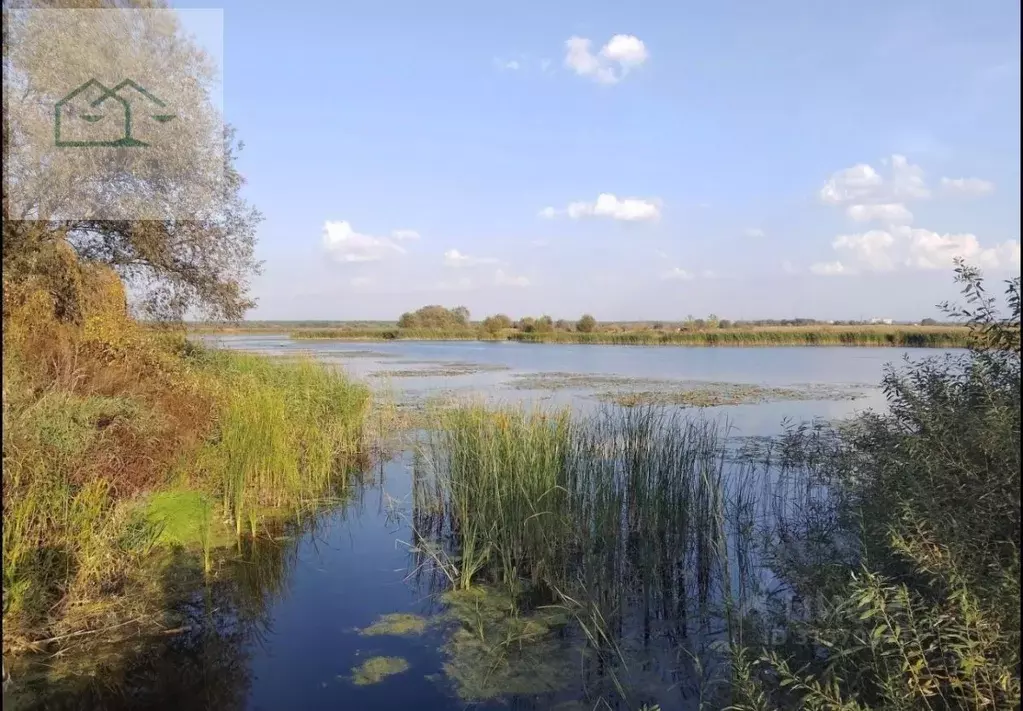 Участок в Воронежская область, Новоусманский район, с. Бабяково ... - Фото 0