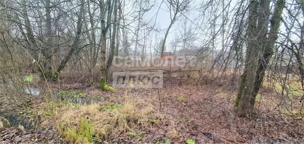 Участок в Московская область, Одинцовский городской округ, д. Хлюпино  ... - Фото 1