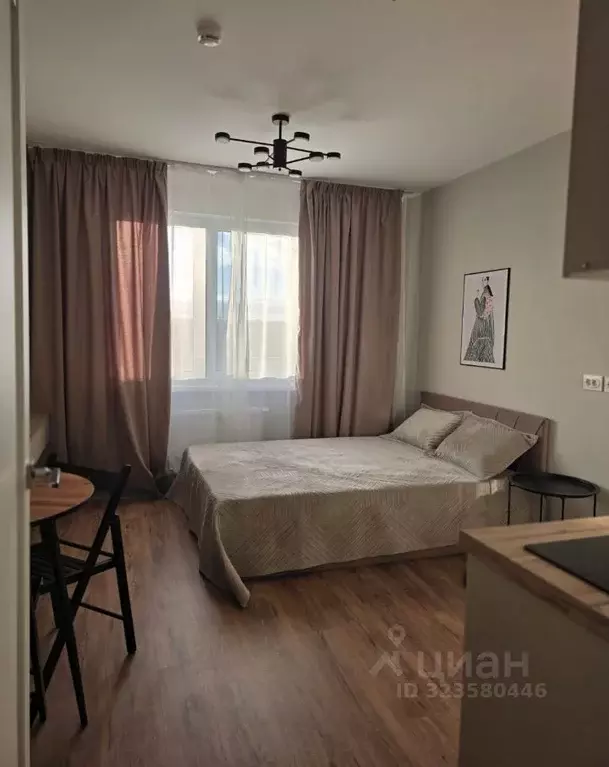 Студия Санкт-Петербург ул. Пахомовская, 12к1 (21.0 м) - Фото 1