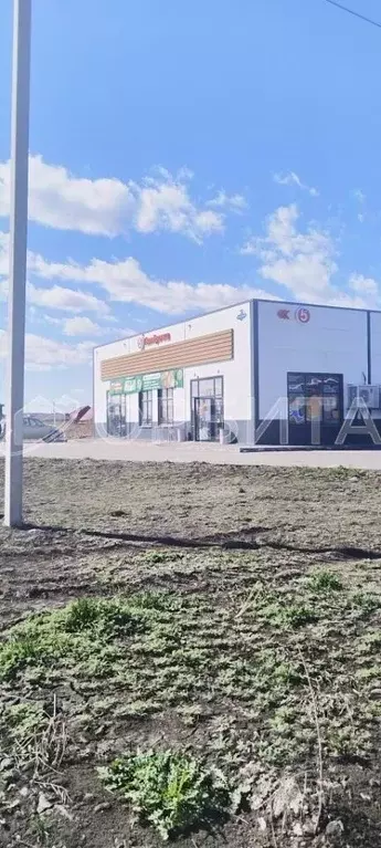 Участок в Тюменская область, Тюмень Царево садовое товарищество, ул. ... - Фото 0