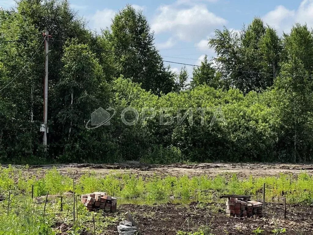 Участок в Тюменская область, Тюмень Ясень садовое товарищество, ул. ... - Фото 0