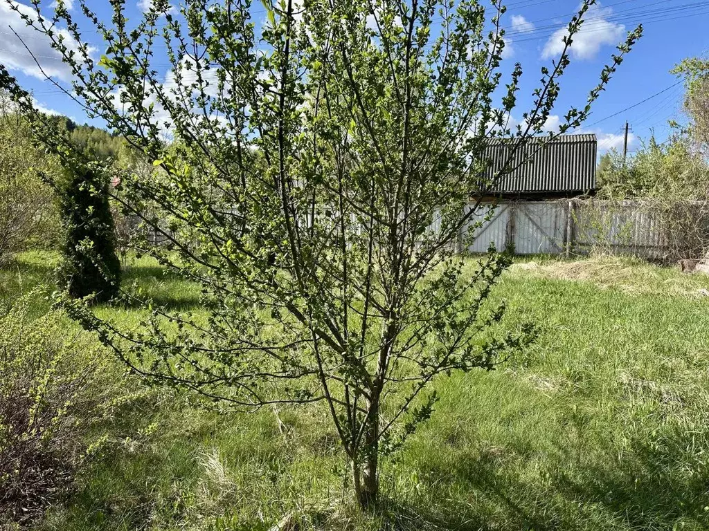 Участок, 6 сот., сельхоз (снт или днп) - Фото 1