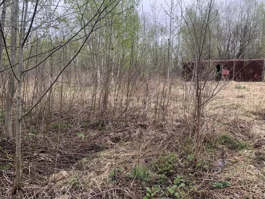 Участок в Костромская область, Красное-на-Волге городское поселение, ... - Фото 1