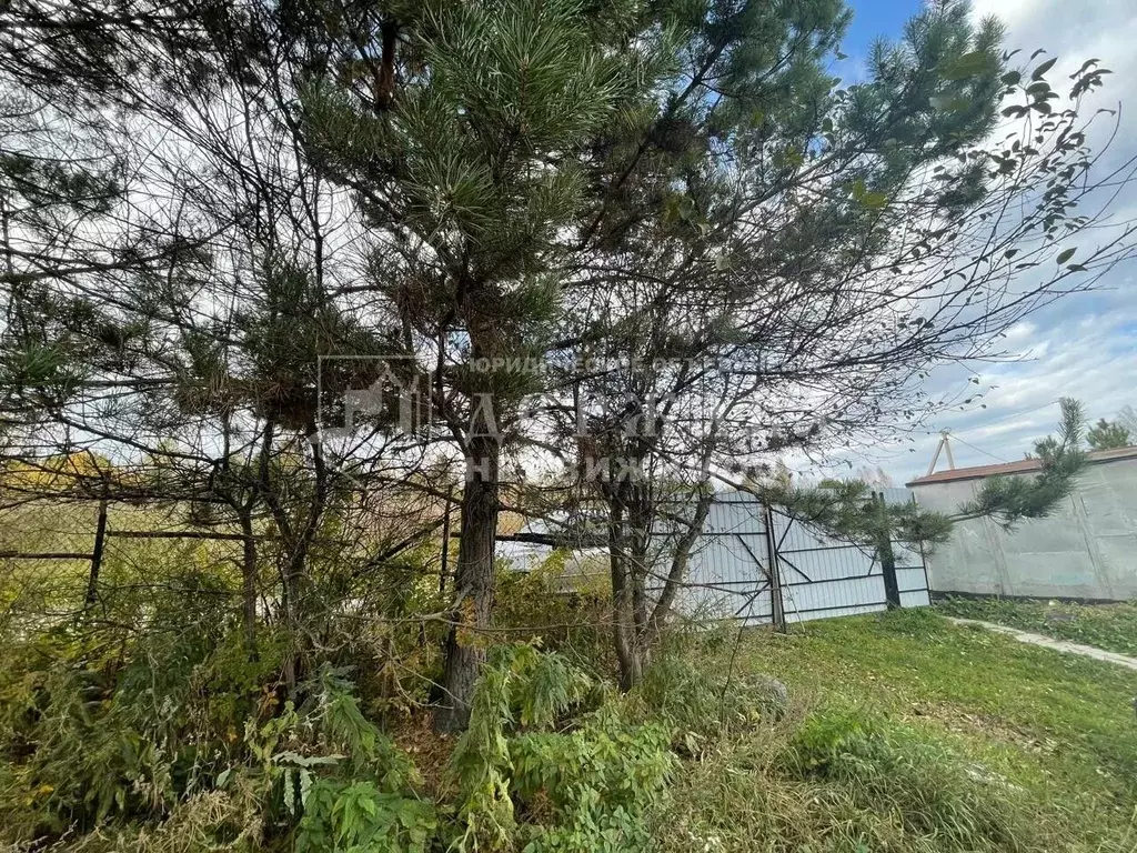 Дом в Кемеровская область, Кемеровский муниципальный округ, д. ... - Фото 2