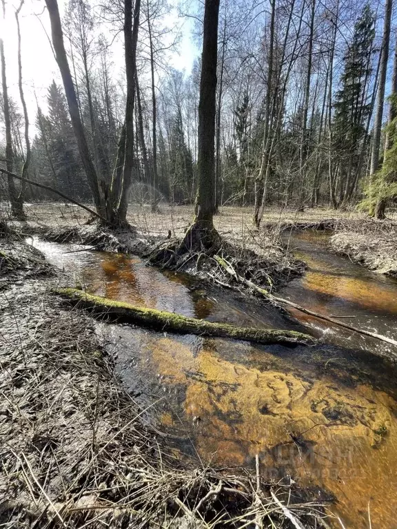 Участок в Тверская область, Конаковский муниципальный округ, Тверское ... - Фото 1