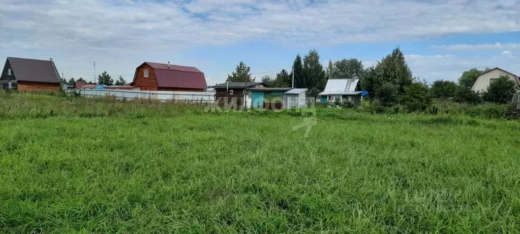 Участок в Новосибирская область, Колыванский район, Печать СНТ  (6.0 ... - Фото 0