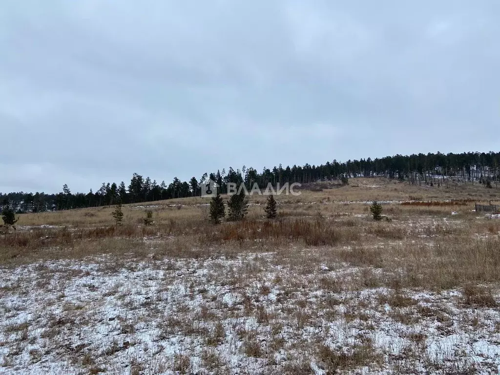 Участок в Бурятия, Иволгинский район, Сотниковское с/пос, с. ... - Фото 2