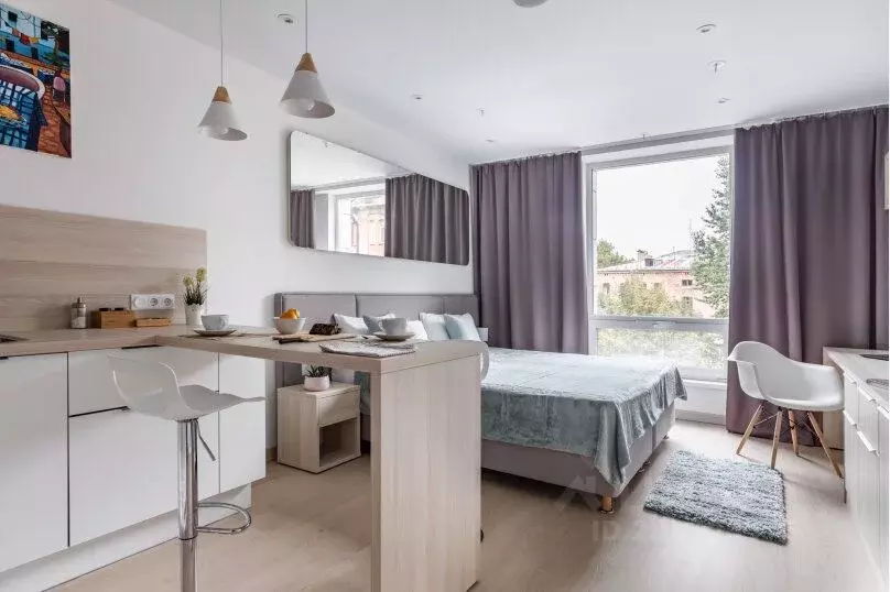 1-к кв. Санкт-Петербург Социалистическая ул., 21 (26.0 м) - Фото 2