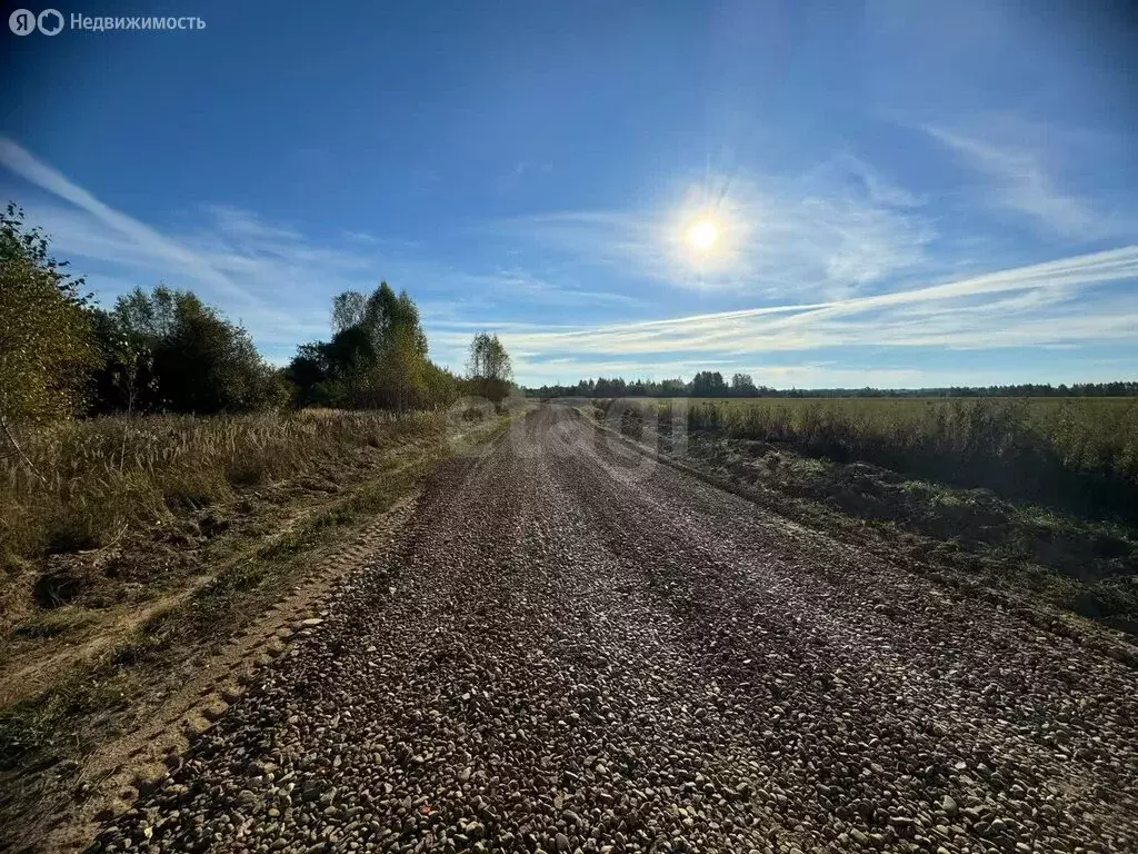 Участок в Красносельский район, Шолоховское сельское поселение, ... - Фото 2