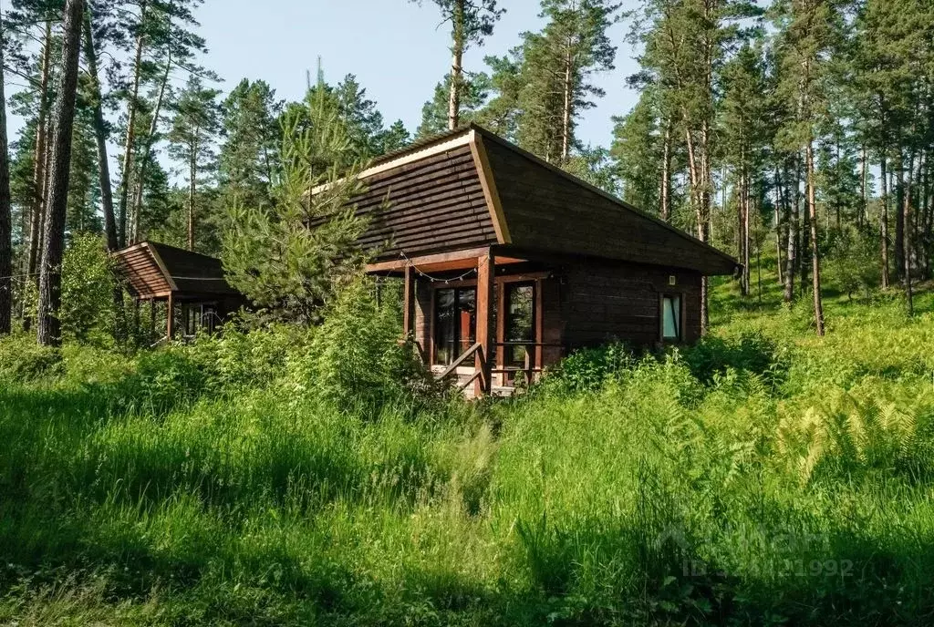 Дом в Алтай, Чемальский район Чемальский тракт, 10 км, 1/1 (20 м) - Фото 1