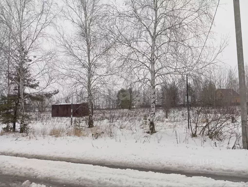 Участок в Липецкая область, с. Доброе ул. Родниковая, 6 (30.0 сот.) - Фото 0