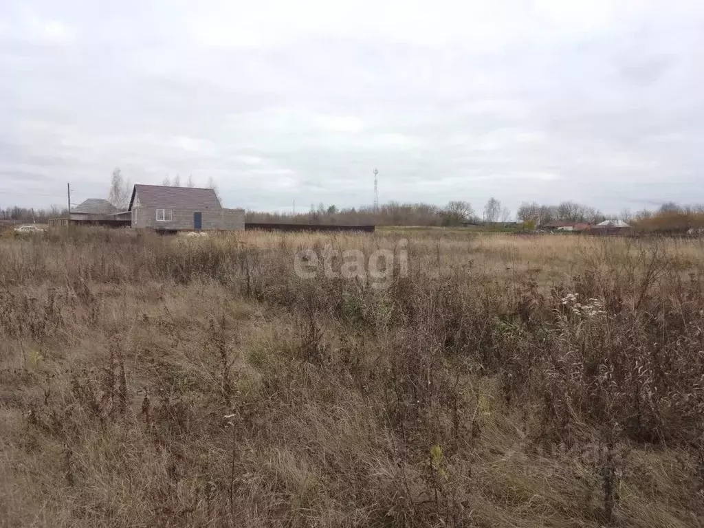 Участок в Тамбовская область, Мичуринский муниципальный округ, с. ... - Фото 1