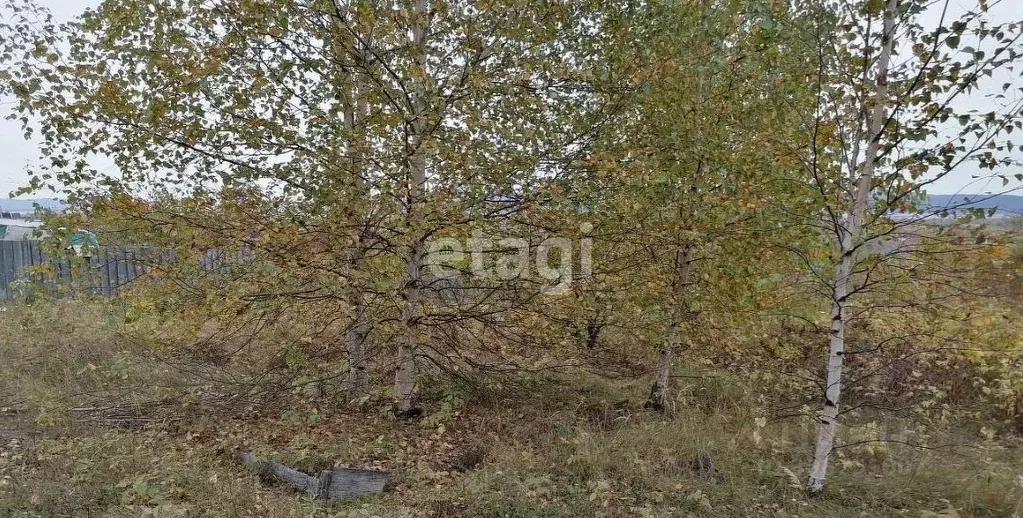 Участок в Хабаровский край, Комсомольск-на-Амуре Ключевое садовое ... - Фото 1