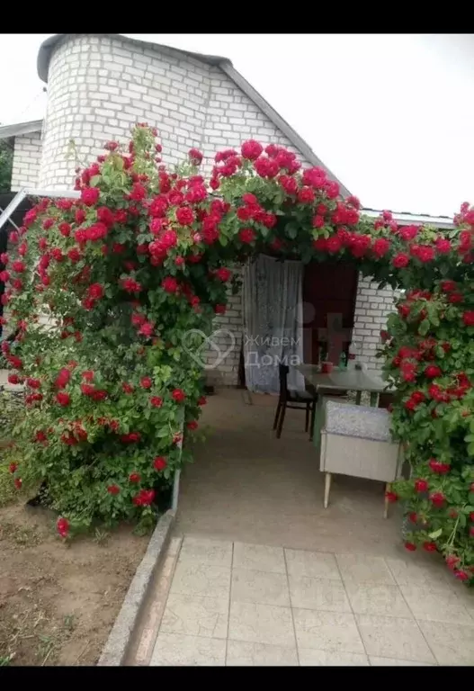 Дом в Волгоградская область, Городищенский район, Новожизненское ... - Фото 2