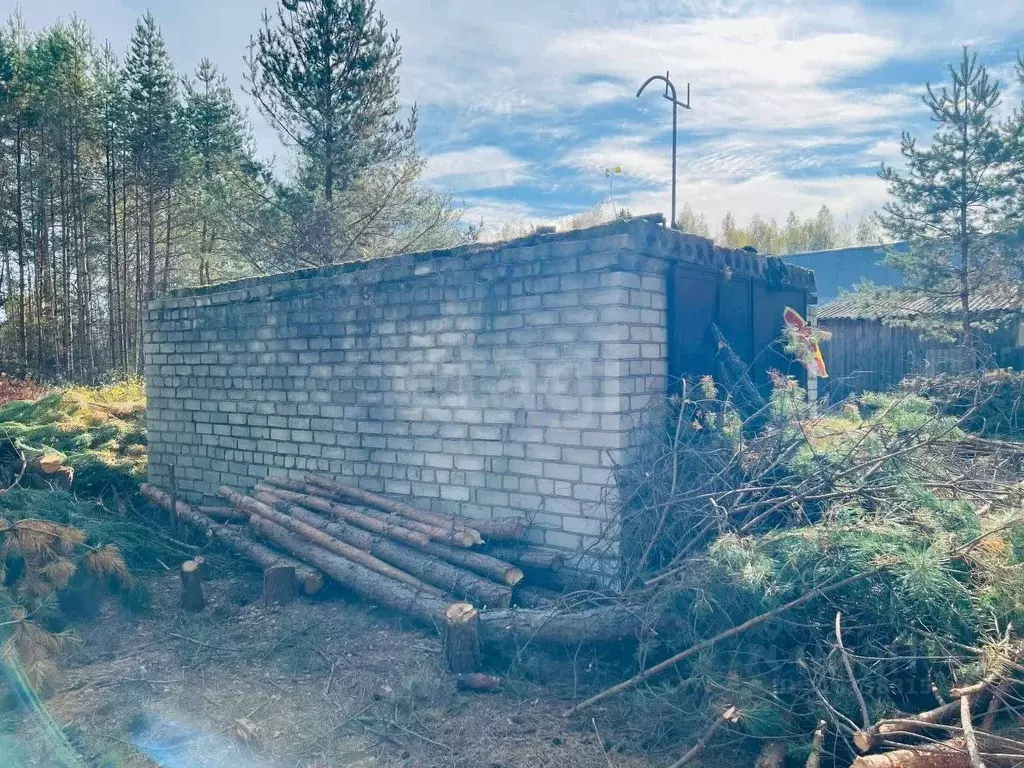 Участок в Владимирская область, Петушинский район, Пекшинское ... - Фото 2