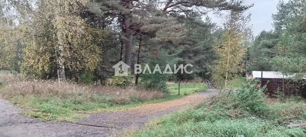 Участок в Ленинградская область, Всеволожский район, Кузьмоловское ... - Фото 2