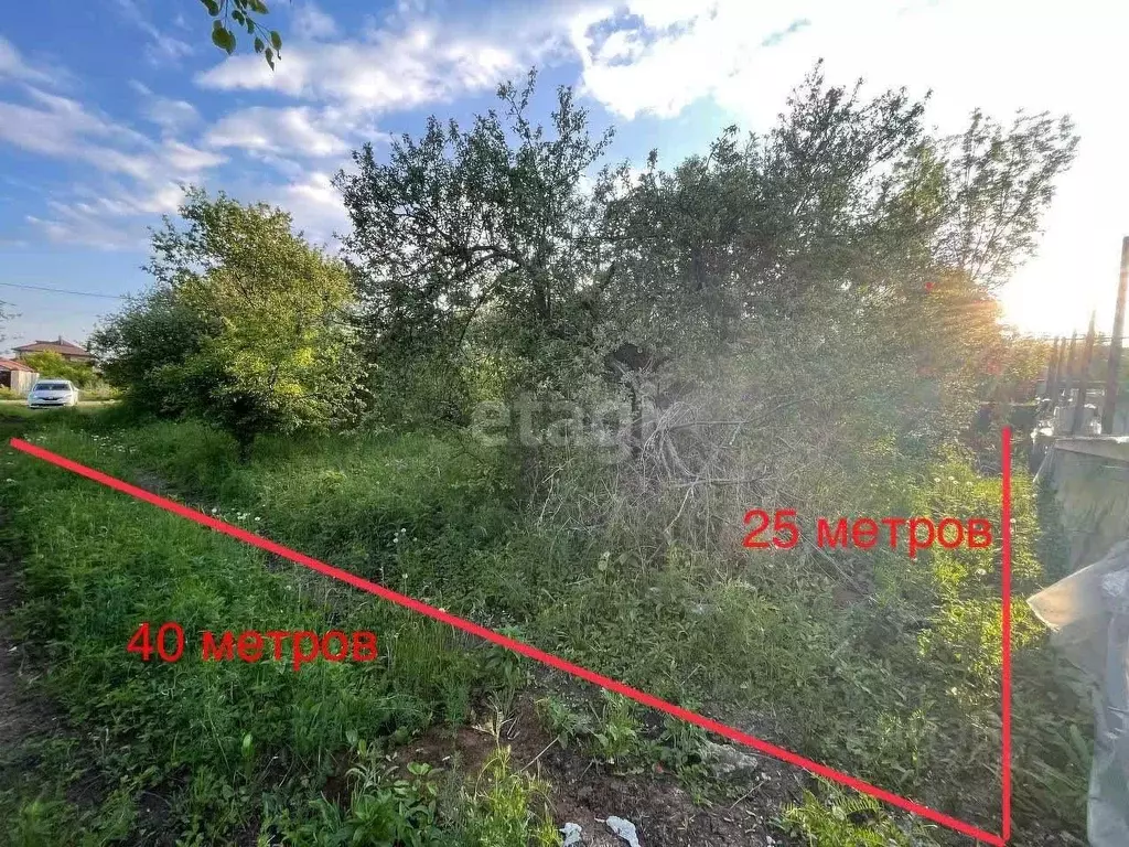 Участок в Воронежская область, с. Семилуки ул. Лазурная (10.0 сот.) - Фото 1