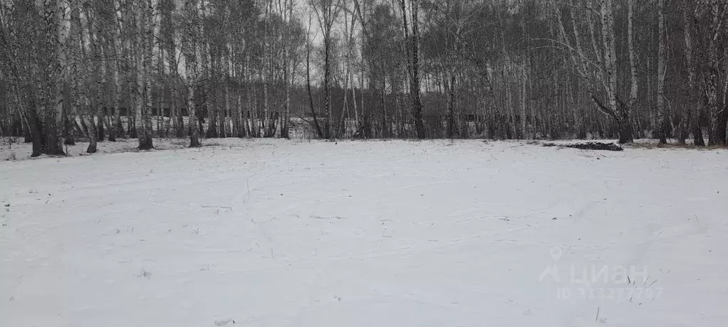Участок в Челябинская область, Красноармейский район, Луговское с/пос, ... - Фото 0