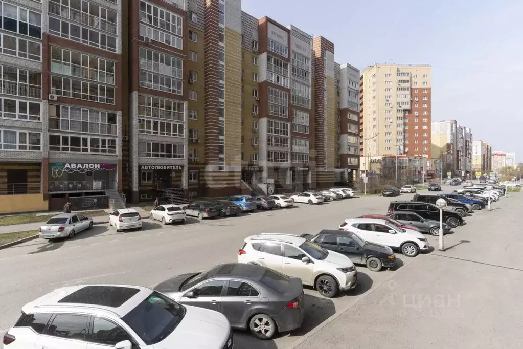 Помещение свободного назначения в Тюменская область, Тюмень ул. ... - Фото 1