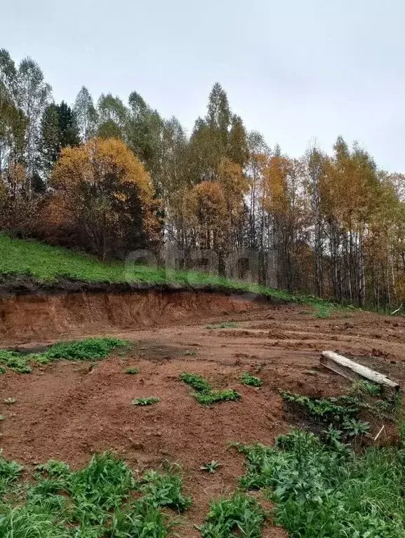 Участок в Алтай, Горно-Алтайск Бочкаревка СНТ,  (12.15 сот.) - Фото 1