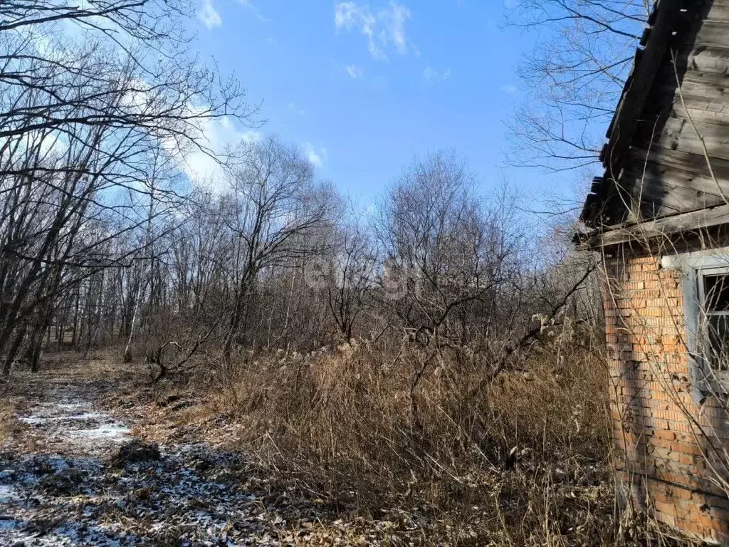 Участок в Приморский край, Надеждинский район, Геофизик СНТ  (6.0 ... - Фото 0