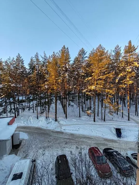 1-к кв. Удмуртия, Ижевск ул. Ворошилова, 79 (32.5 м) - Фото 1