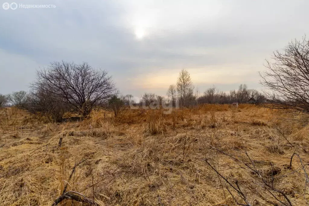 Участок в Хабаровск, СНТ Урожай-2 (8.8 м) - Фото 0