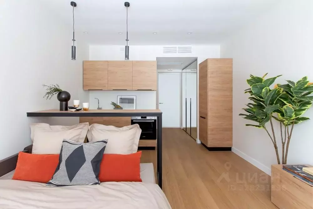 Студия Москва Автозаводская ул., 23Бк2 (23.0 м) - Фото 1