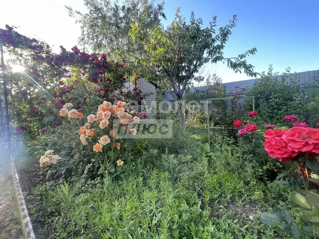 Дом в Волгоградская область, Городищенский район, Новожизненское ... - Фото 1