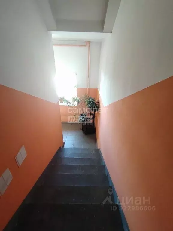 2-к кв. Забайкальский край, Могоча Березовая ул., 43 (62.0 м) - Фото 2