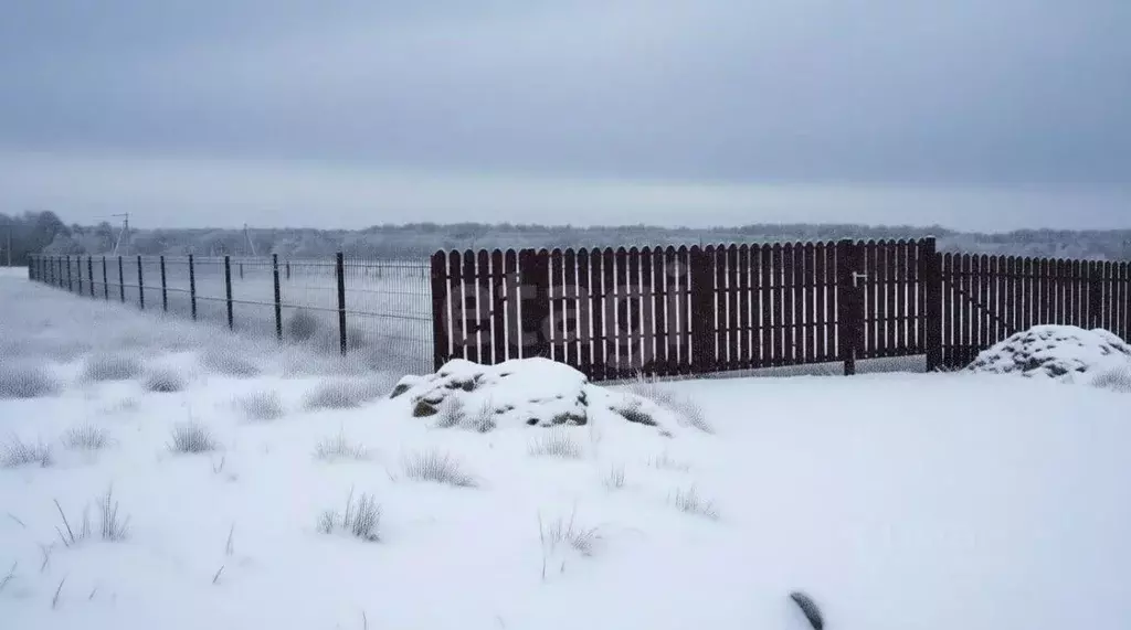 Участок в Тульская область, Заокский район, Демидовское с/пос, д. ... - Фото 1