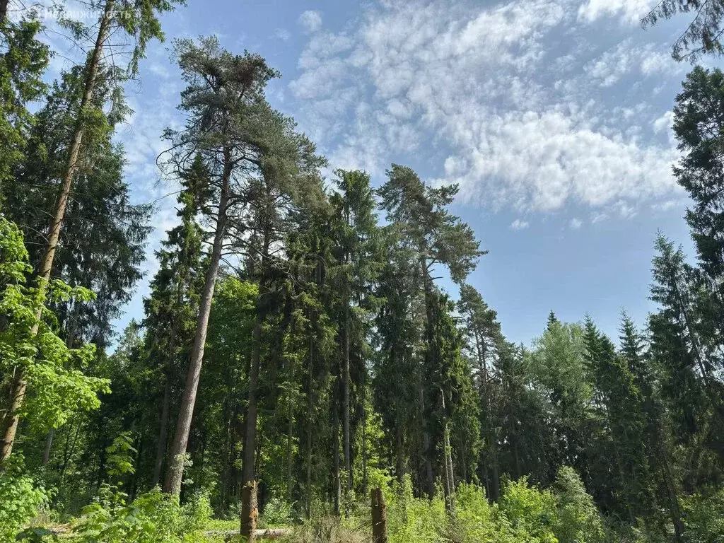 Участок в Московская область, городской округ Клин (18.5 м) - Фото 1