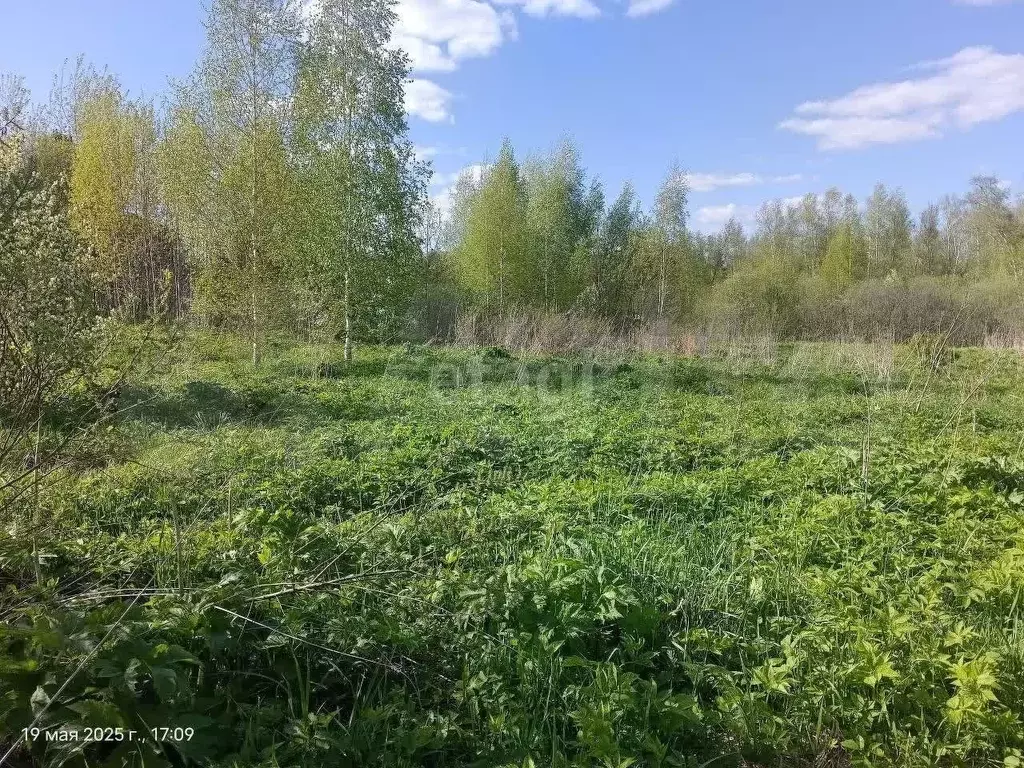 Участок 6,5 сот. (СНТ, ДНП) - Фото 0
