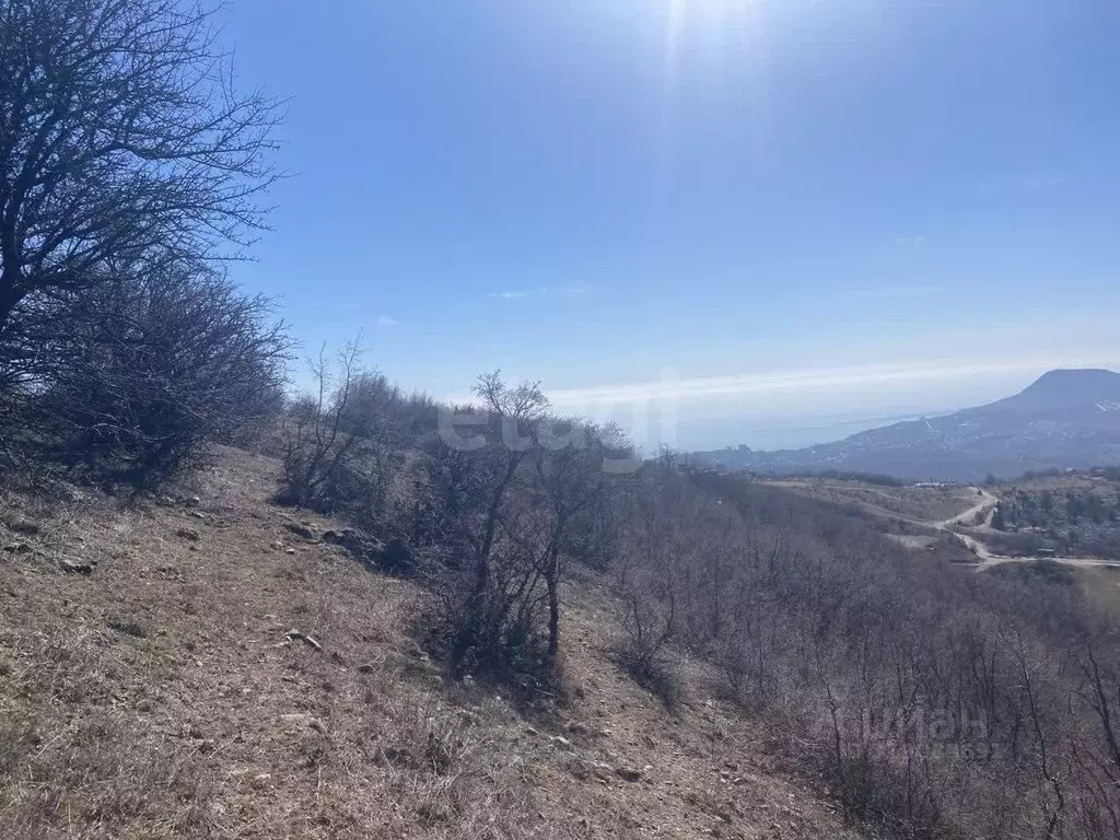 Участок в Крым, Алушта муниципальный округ, с. Лучистое  (9.9 сот.) - Фото 0