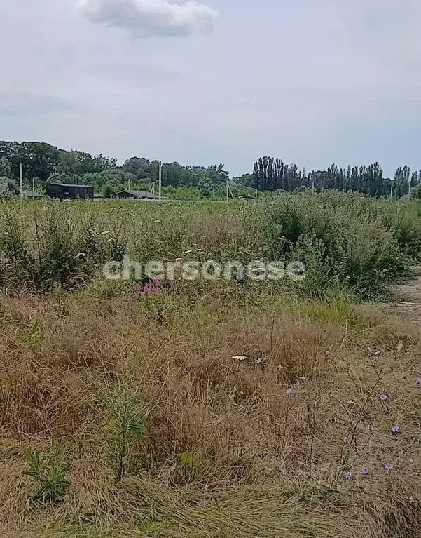 Участок в Севастополь с. Фруктовое, ул. Пушкина (4.5 сот.) - Фото 1