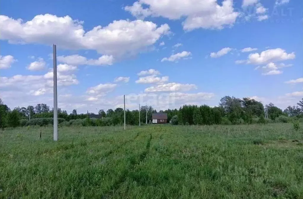 Участок в Новосибирская область, Колыванский район, Пять озер СНТ ... - Фото 0