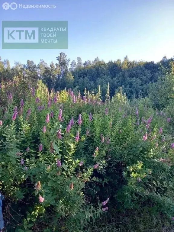 Дом в деревня Снегирёвка, Школьная улица, 38 (114.5 м) - Фото 1