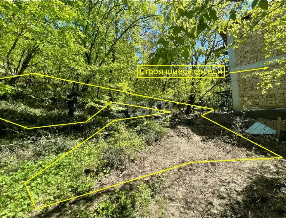 Участок в Крым, Ялта муниципальный округ, Массандра пгт ул. Винодела ... - Фото 1